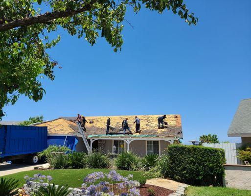 The i got my roof done by the roof kings