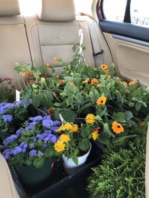 Klenzing's Landscaping