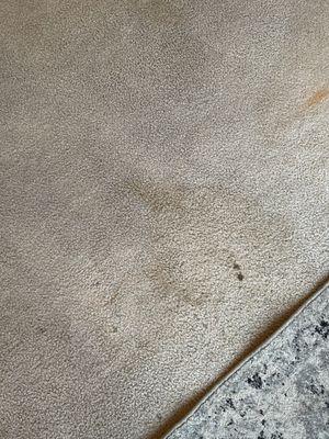 Certified Green Team