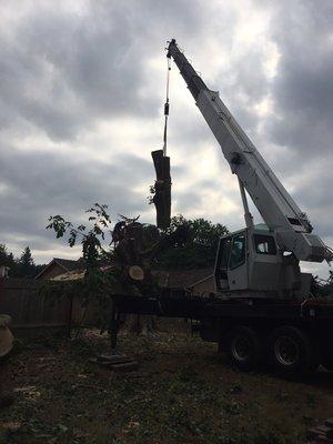 Quality Tree Service & Landscape Maintenance