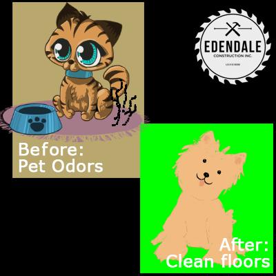 Pets are cute. They're stench, not so much. Tenants and owners like clean, maintained floors.