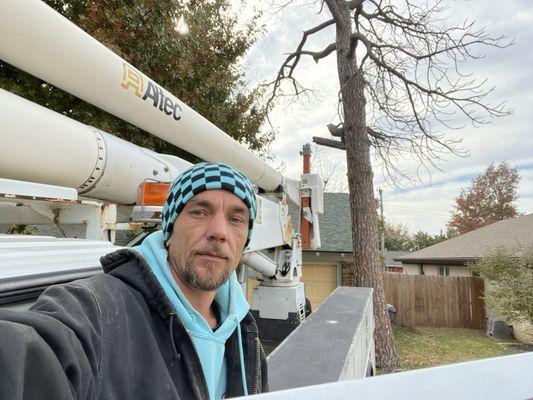 Charlies tree service