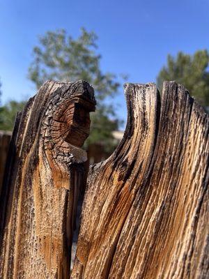 Archer Management Group