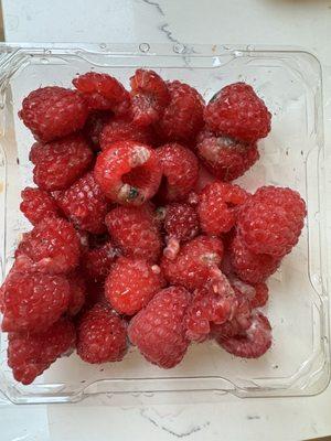 Organic Raspberries