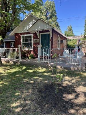 New apple tree in front of Birch cabin