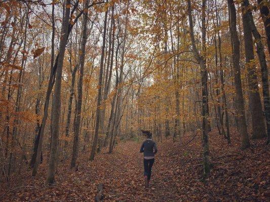 Little River Regional Park and Natural Area