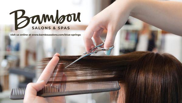 Bambou Salons