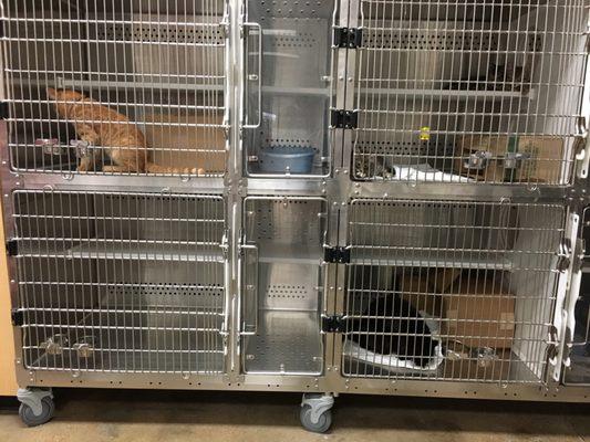 Petsense