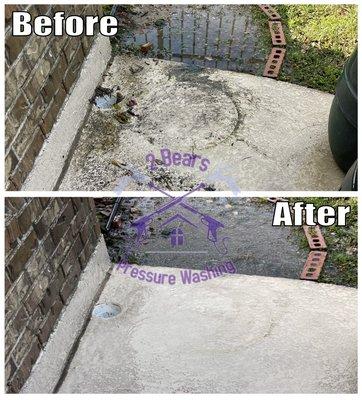 2 Bears Pressure Washing