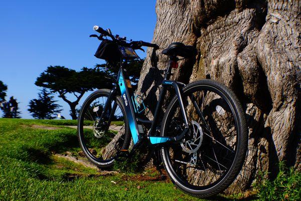 Adventures By The Sea