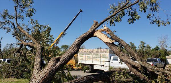 A Better Tree Service doing clean up during last big tornado.