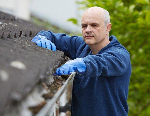 Wilfredo's Landscaping Services