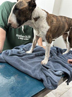 Broadway Animal Clinic