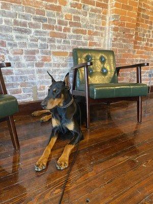 Chesterton & Co Cigars