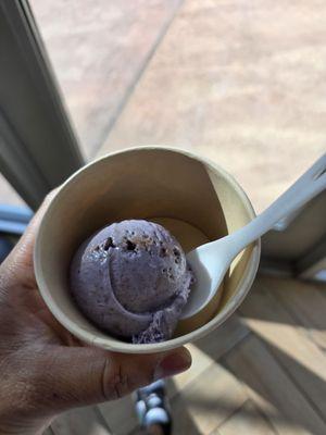 Lick Honest Ice Creams