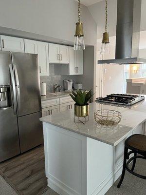 Newly remodeled kitchen in Coach House in Oak Park, Illinois