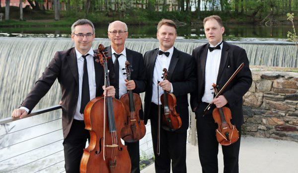Art-Strings Ensembles