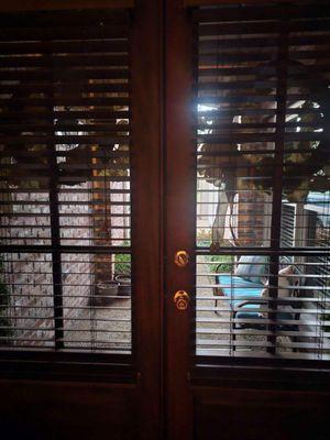 J & S Cleaning Quarters