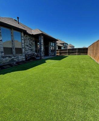 Backyard with turf