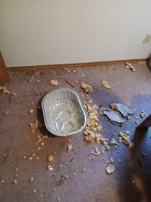 I put a pan out to catch drips