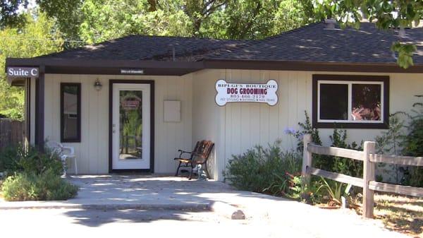 These People Love Dogs!