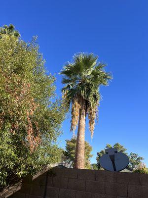 Eben Ezer Landscape & Hardscape