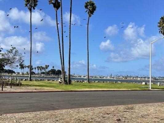 Liberation Yoga Shala