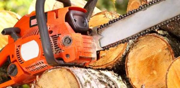 J&J Professional Tree Service