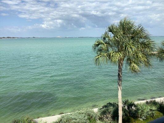 Looks pretty good today! The water is very rarely brown, only when the red tide is bad. This is an excellent location on the bay.