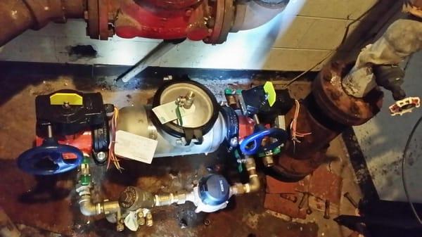 Collins Backflow Specialists