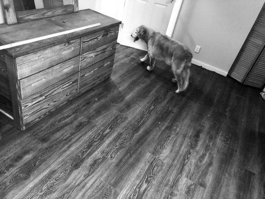 Forever Flooring & More