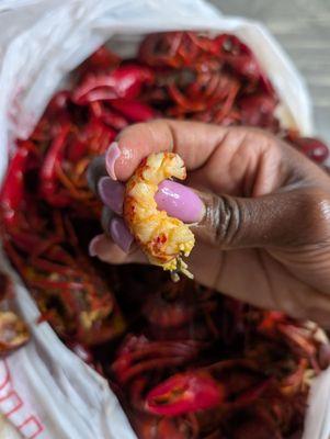 Atchafalaya Crawfish