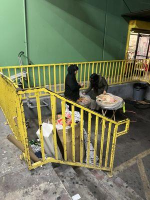 Best 99 Cent Bargain