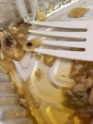 Saltfish/Codfish with bug