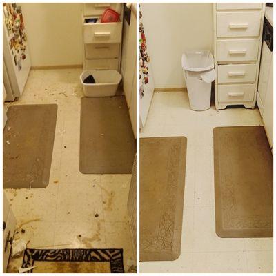 TaylorMade lawncare and cleaning