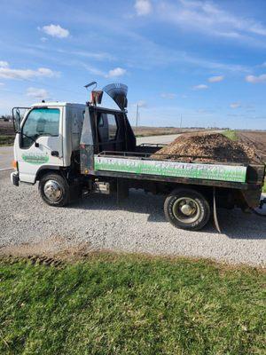 D Ramm Services & Stump Grinding