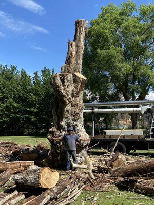 P & D Tree Service