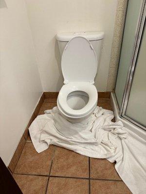 Placed towels as requested notice the grout lines lighter as the grout dries out