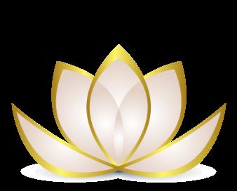 Bergen Premier Aesthetics