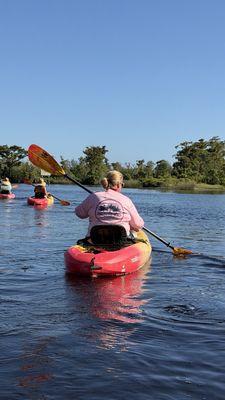 Kayak Eco Tours