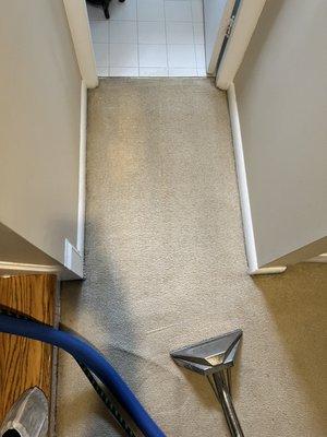 Moco Carpet Cleaning