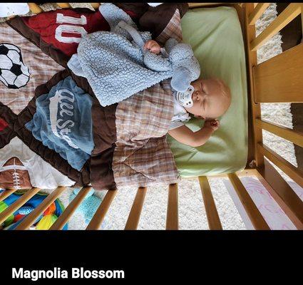 Magnolia Blossom Reborn Nursery