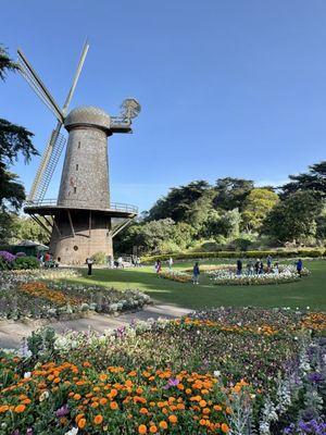 Queen Wilhelmina Tulip Garden