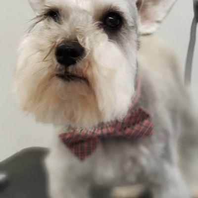 Fur Mobile Grooming Salon