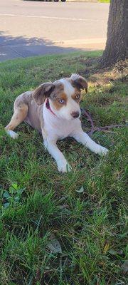 King's Furry Family spa