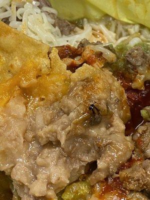 Super Nachos with a fresh bug