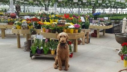 Catalpa Grove Farm & Market