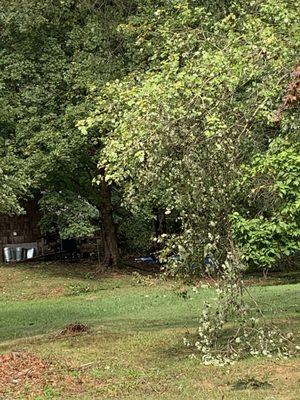 Oak Hill Landscaping