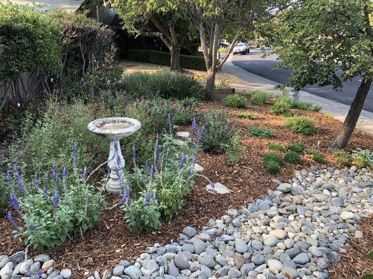 Susan Silva Landscape Design