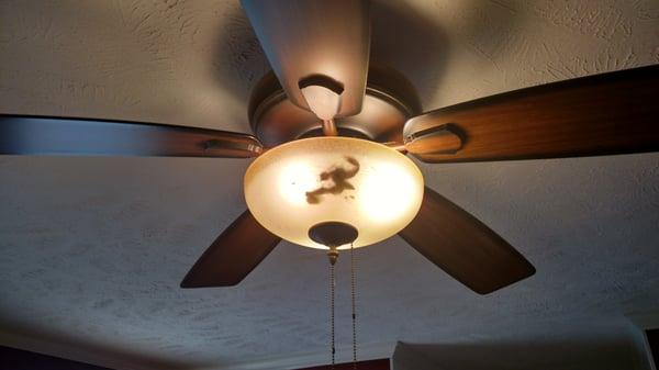 Pennink and Huff Property Management